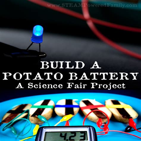 science fair potato battery|Potato Battery – Science Projects.